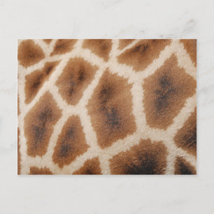 Reticulated Giraffe Mönster Vild Animal Print Gift Vykort