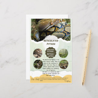 Reticulated Python Care Lakan