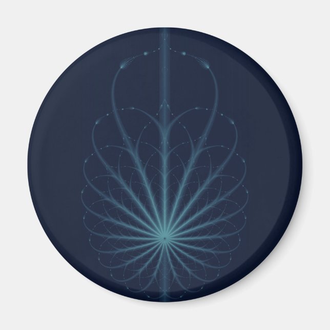 Reticulum Magnet (Framsidan)