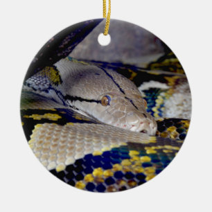Retikulerad Python Snake Julgransprydnad Keramik