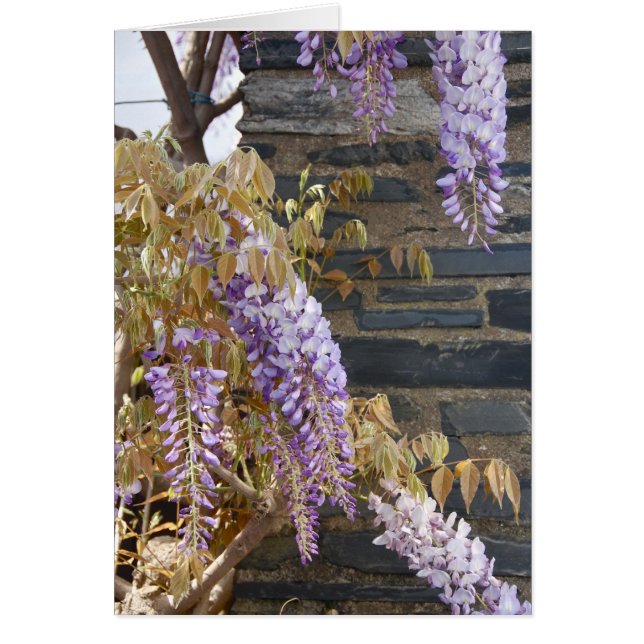 Reträtten Hälsningskort (Framsidan)