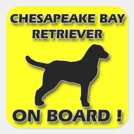 Retriever-dekal för Chesapeake Bay Fyrkantigt Klistermärke