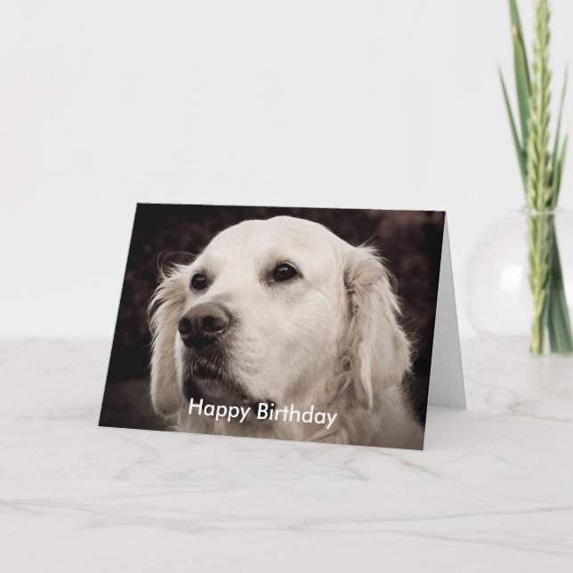 Retriever - Golden Kort (Framsida)