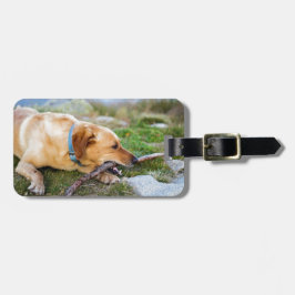 Retriever med pinne bagagebricka