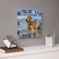 Retriever på stranden saknar dig