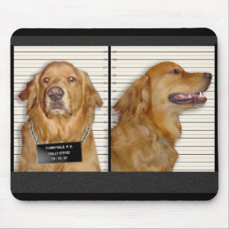 Retrievermugg Musmatta