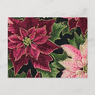 Retro 50s Poinsettia Burgundy Rosa Vykort