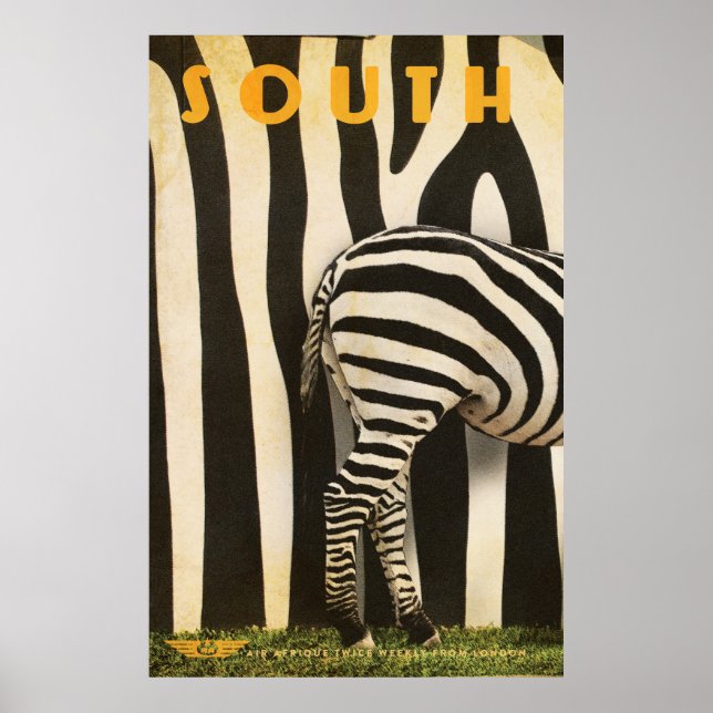 Retro African Mountain Zebra Poster - Del 1 (Framsidan)