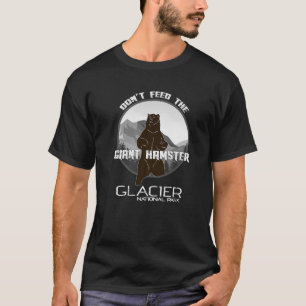 Retro Asheville North Carolina NC Blue Ridge Mount T Shirt