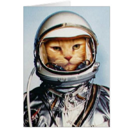 Retro Astronaut Cat OBS Kort