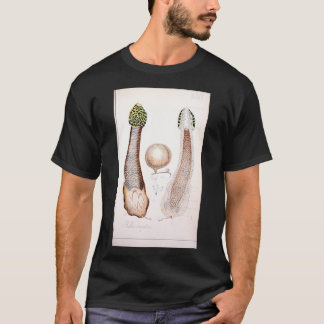 Retro ätbar och giftig rude phallus-svamp t shirt