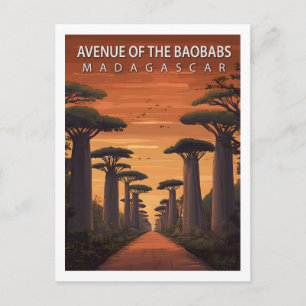 Retro Avenue of the Baobabs Madagaskar Natur Vykort
