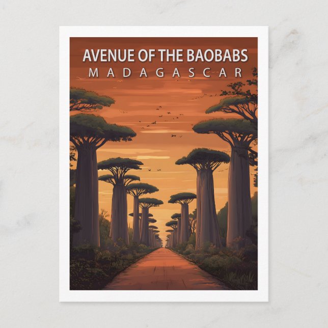 Retro Avenue of the Baobabs Madagaskar Natur Vykort (Framsida)