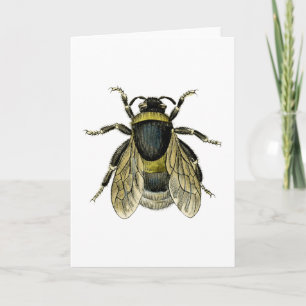 Retro Bee Antique Illustration Black and Gult Kort