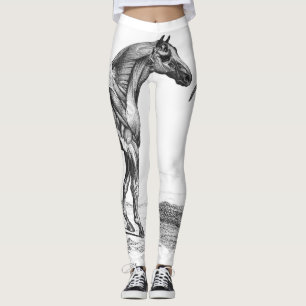 Retro bild för hästmuskelanatomi leggings
