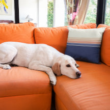 Retro Blue och Peach Stripe Pillow