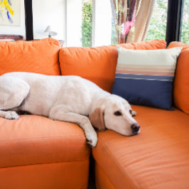 Retro Blue och Peach Stripe Pillow Kudde