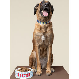 Retro Blue White Checky Hund Puppy Cat Namn mat