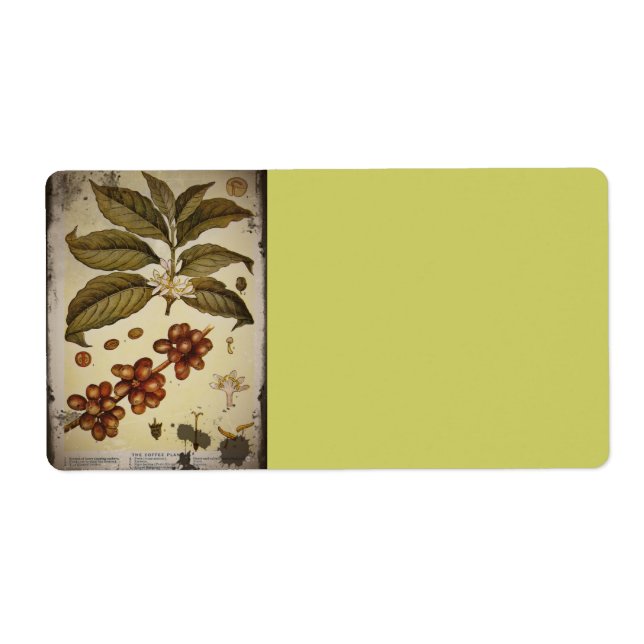 Retro botaniskt bildkaffe fraktsedel (Framsidan)