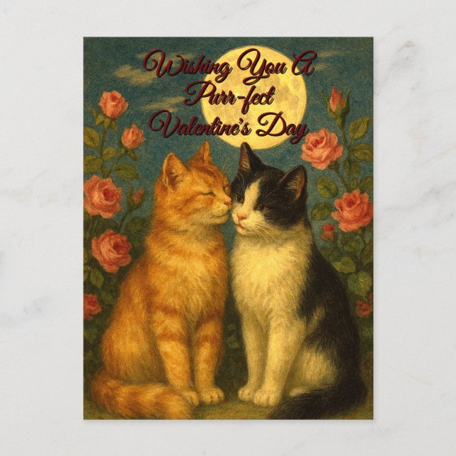 Retro Cats Valentine's Day Holiday Postcard Helg Vykort (Framsida)