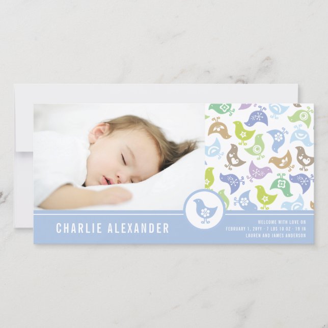 Retro Chickars födelseattentat Fotokort Meddelande (Framsida)