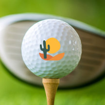 Retro Desert med Cactus