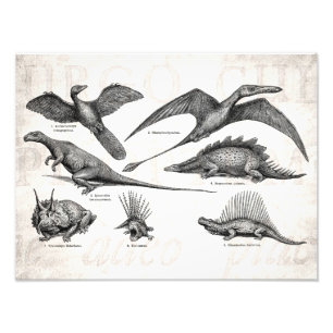 Retro Dinosaurs för vintageDinosaurillustration Fototryck