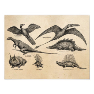 Retro Dinosaurs för vintageDinosaurillustration Fototryck