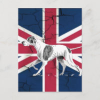 Retro English pekare hund British Union jack flagg