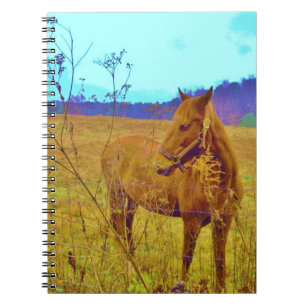 Retro Färgad Horse Anteckningsbok Med Spiral