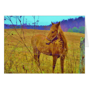 Retro Färgad Horse Hälsningskort