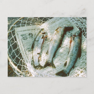 Retro Fishing Net och Trout Postcard Vykort