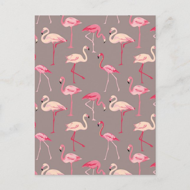 Retro Flamingos 2 Vykort (Framsida)
