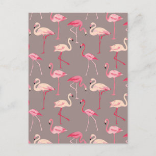 Retro Flamingos 2 Vykort