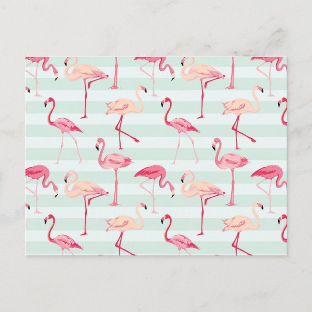 Retro Flamingos på Mint Rand Vykort (Framsida)