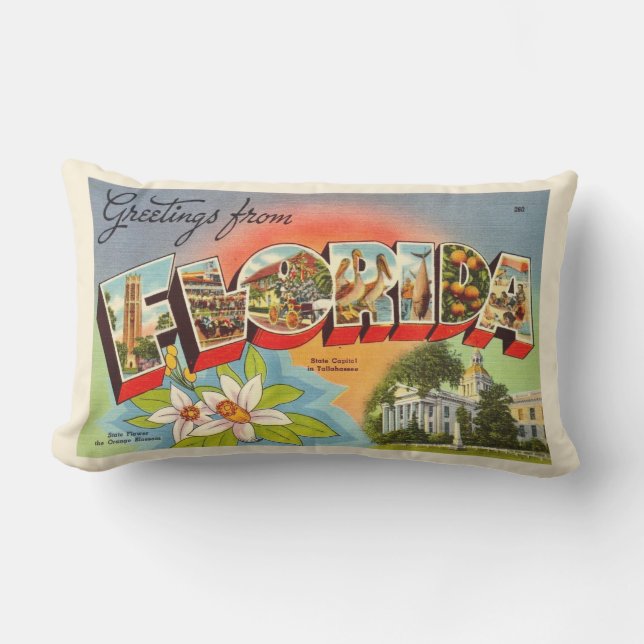 Retro Florida Postcard Hälsning Dekorativ kudde (Framsida)