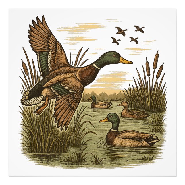 Retro-Flying-Mallard-Ank-Jakt,  Fototryck (Framsidan)