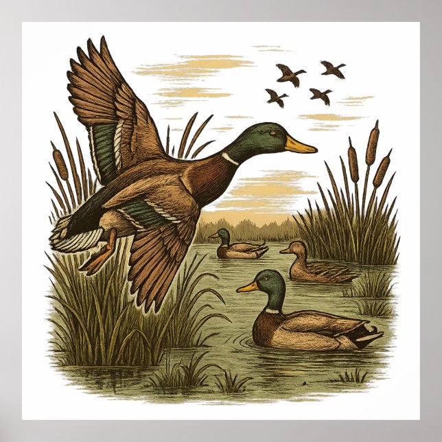 Retro-Flying-Mallard-Duck-Hunting,  Poster (Framsidan)