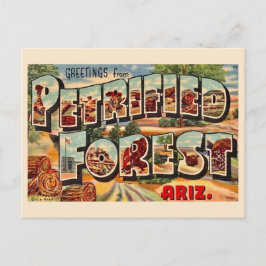 Retro Förstenade Skogen Arizona vykort
