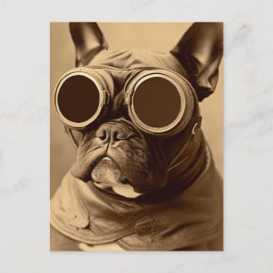 Retro Frenchie Sepia Vykort