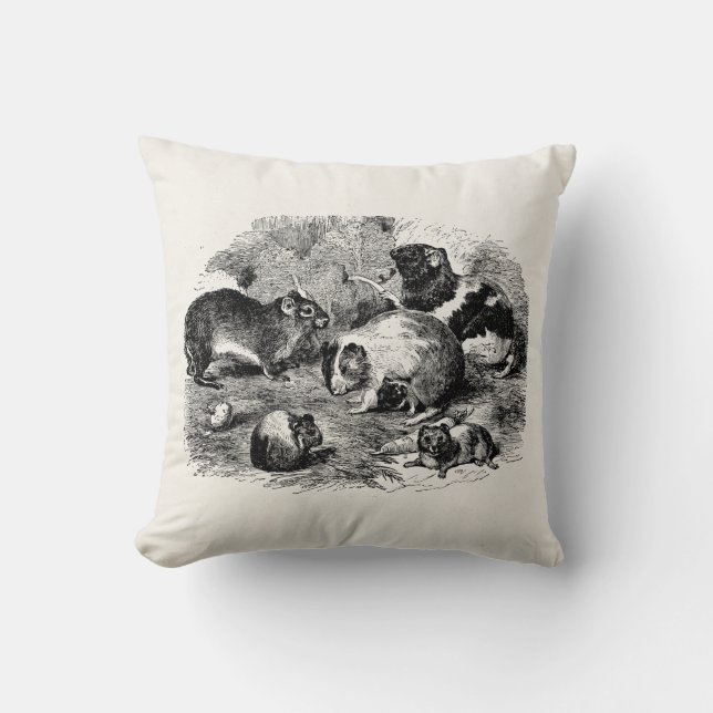 Retro gammala försökskaninar för kudde (Framsida)