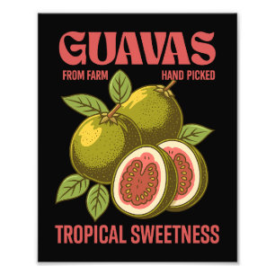 Retro Guavas Fruit Commercial Graphic Art Stil Fototryck