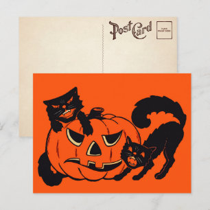 Retro Halloween-katter vykort