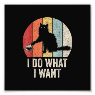 Retro I gör vad jag vill ha Cat Shirt Cat Lover Ow Fototryck