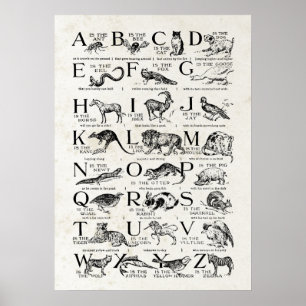 Retro Inspired Alphabet Nursery Chart Cute Animals Poster