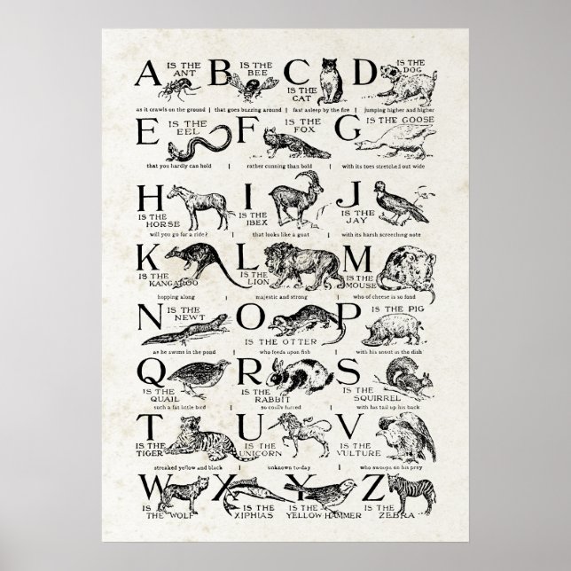 Retro Inspired Alphabet Nursery Chart Cute Animals Poster (Framsidan)