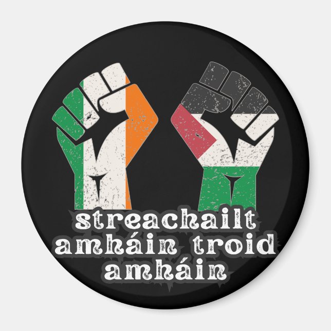 Retro Ireland Palestine Solidarity Fist revolution Magnet (Framsidan)