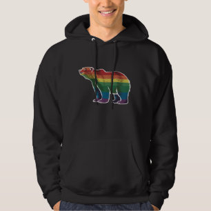 Retro Isbjörn Regnbåge Lesbisk HBTQ HBT Stolt Hoodie