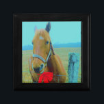 retro jul Horse Smyckeskrin<br><div class="desc">Julhäst Jul Horse Red bow jul Stocking Photo by Sandy Closs , " julhäst ",  "brun och vit häst" ,  "western christmas" land"häst vid jul""julhäst", christmas,  julafton häst,  häst,  teal pastel gult blue red</div>