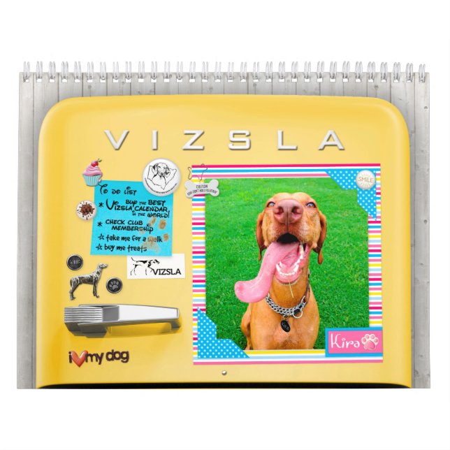 Retro kylskåpkalender för VIZSLA Kalender (Omslag)